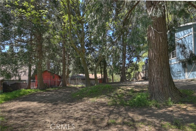22365 Pine Drive, Cedarpines Park CA: https://media.crmls.org/medias/258d8b9f-557a-40a4-966c-0f4a9cd965f8.jpg