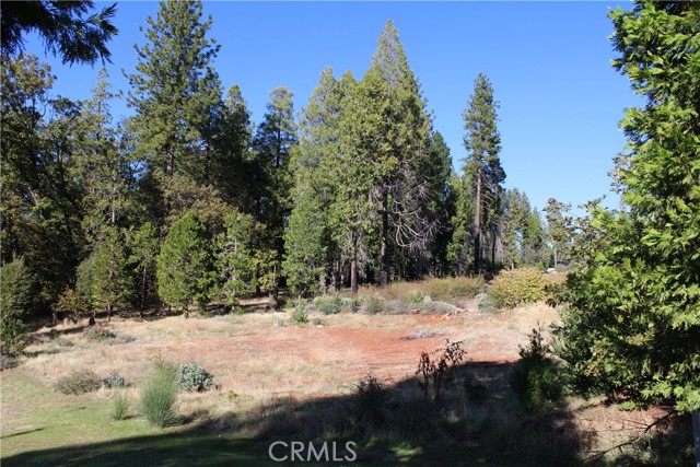 Detail Gallery Image 6 of 17 For 13911 Cluster Ct, Magalia,  CA 95954 - – Beds | – Baths