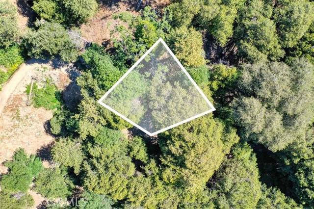 0 Cochran Rd, Cedarpines Park, California 92391, ,Land,For Sale,0 Cochran Rd,CREV22196824