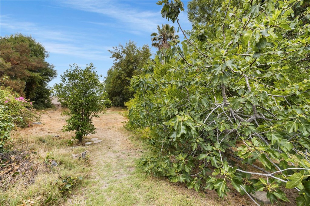 https://media.crmls.org/medias/25967935-b9e2-40bf-b7a2-280771223c61.jpg?preset=X-Large