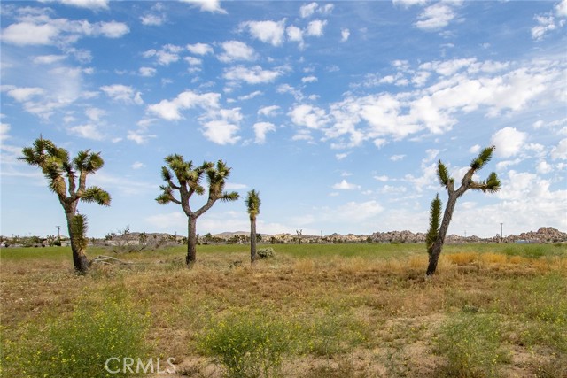 Detail Gallery Image 8 of 24 For 52550 Geronimo Trl, Pioneertown,  CA 92268 - – Beds | – Baths