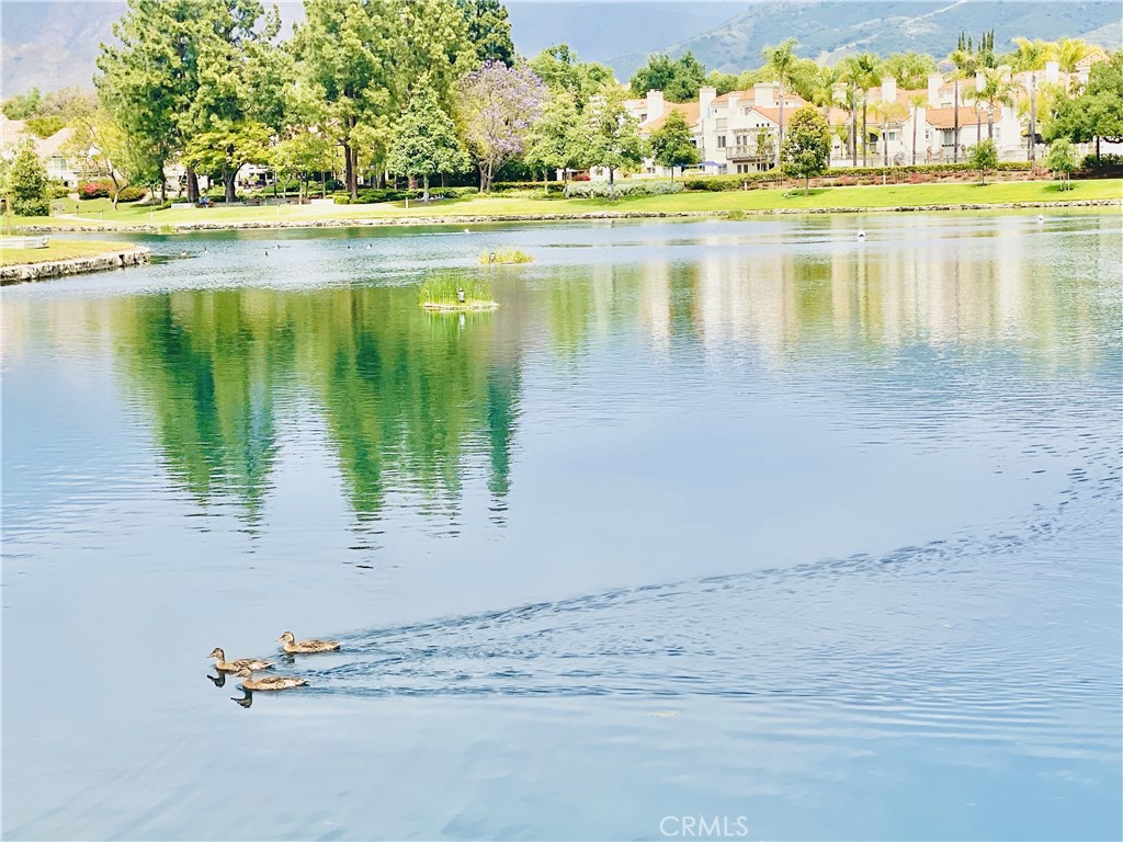 https://media.crmls.org/medias/25aa5ad5-71f4-4e81-b3dc-347560f7513c.jpg?preset=X-Large