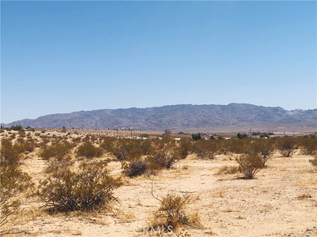 Front Image Thumbnail for CRJT26025964