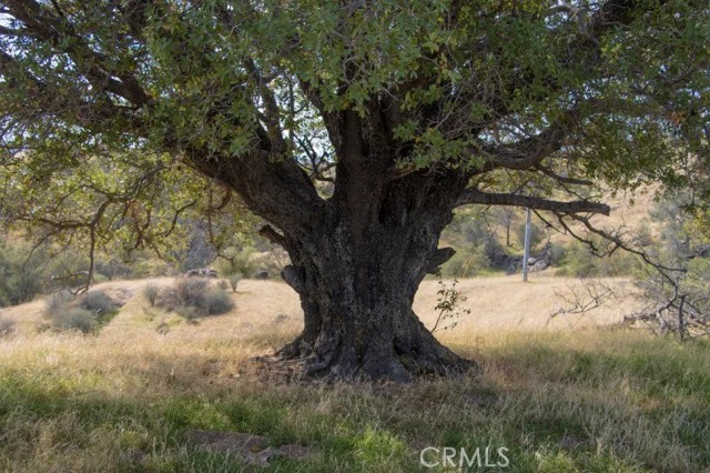 Detail Gallery Image 17 of 43 For 0 Millstream, Coarsegold,  CA 93614 - – Beds | – Baths