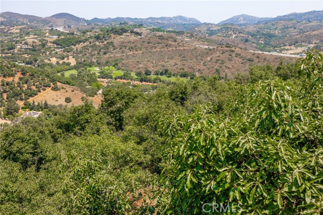 2125 Puerto Del Mundo, Fallbrook CA: https://media.crmls.org/medias/25b591ec-8a66-468e-8da5-f0558ddef154.jpg