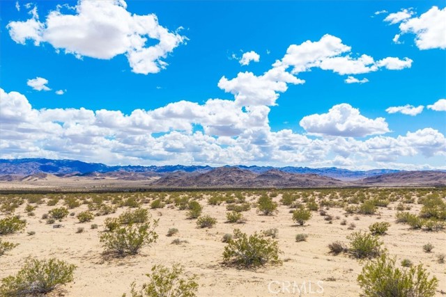 Detail Gallery Image 17 of 26 For 62 Lucille Ln, Joshua Tree,  CA 92252 - – Beds | – Baths