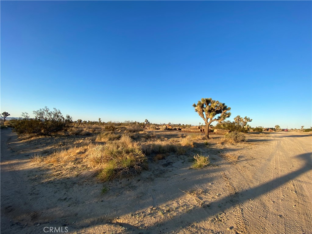 MLS #HD25093308 image #8