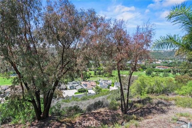 55 S Peak, Laguna Niguel CA: https://media.crmls.org/medias/25b8a6d7-04a5-42e1-84e3-31971745eea9.jpg