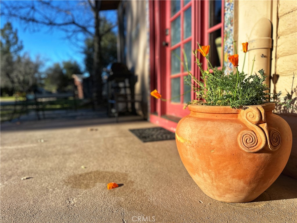 https://media.crmls.org/medias/25c4a053-bcf2-4cc1-af64-59448ea65f11.jpg?preset=X-Large