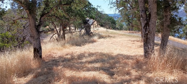 Detail Gallery Image 10 of 12 For 10312 Crestview, Clearlake,  CA 95424 - – Beds | – Baths