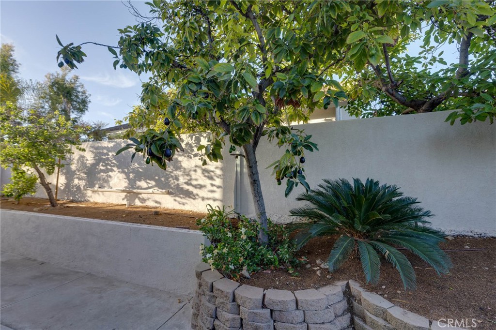 https://media.crmls.org/medias/25c6f964-77c4-4aa5-8e1a-67c462884e74.jpg?preset=X-Large