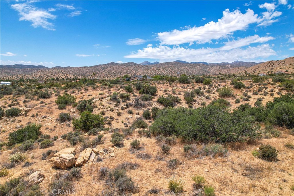 MLS #JT25246603 image #20