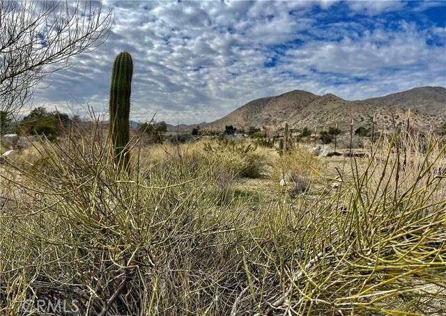Detail Gallery Image 12 of 13 For 11040 Mescalero Ave, Morongo Valley,  CA 92256 - – Beds | – Baths
