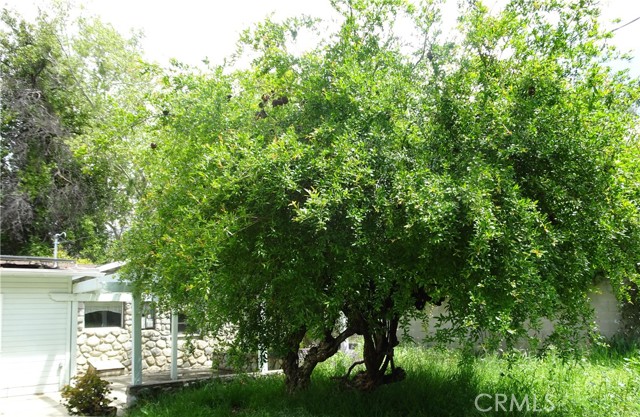 2952 Mill Creek Road, Mentone CA: https://media.crmls.org/medias/25cc5792-a7b4-4ee7-82d2-158590687175.jpg