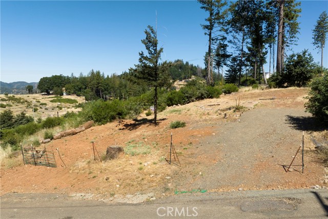 14954 Quail Drive, Cobb, California 95426, ,Land,For Sale,14954 Quail Drive,CRLC23111378