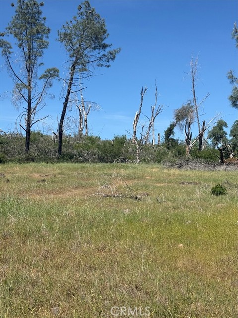 Detail Gallery Image 24 of 33 For 0 Round Valley Ranch, Paradise,  CA 95969 - – Beds | – Baths