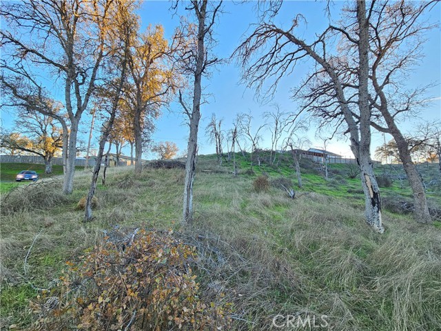 Detail Gallery Image 26 of 28 For 17150 Deer Park, Lower Lake,  CA 95457 - – Beds | – Baths