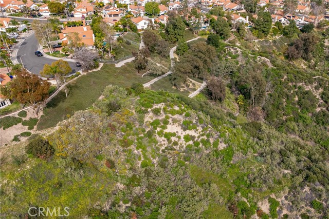 Image 27 of 31 For 24910 Chicory Court