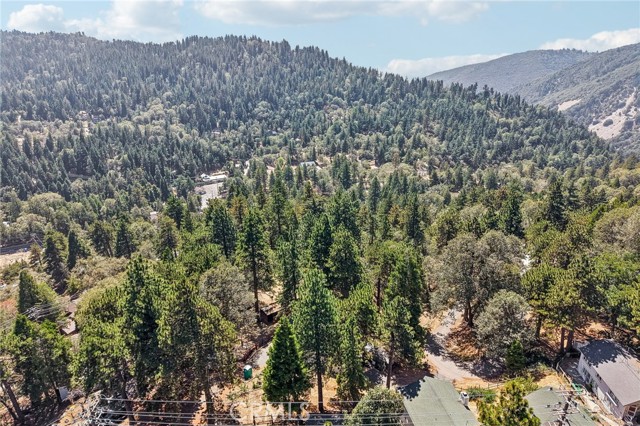 21461 Crest Forest, Cedarpines Park, CA 92322