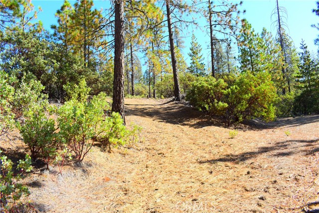 Detail Gallery Image 48 of 48 For 0 Incense Cedar Trl, Groveland,  CA 95321 - – Beds | – Baths