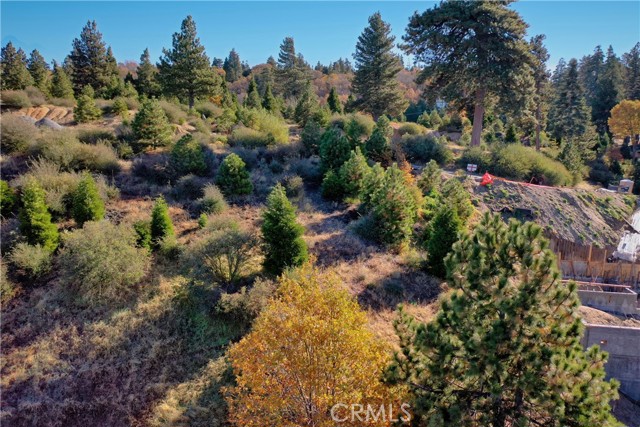 202 Hidden Forest Road, Lake Arrowhead, California 92352, ,Land,For Sale,202 Hidden Forest Road,CREV23214554