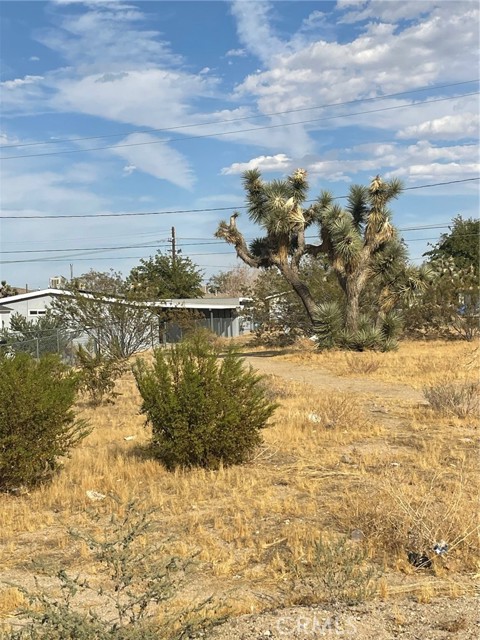 Detail Gallery Image 3 of 6 For 0 Hermosa Ave, Yucca Valley,  CA 92284 - – Beds | – Baths