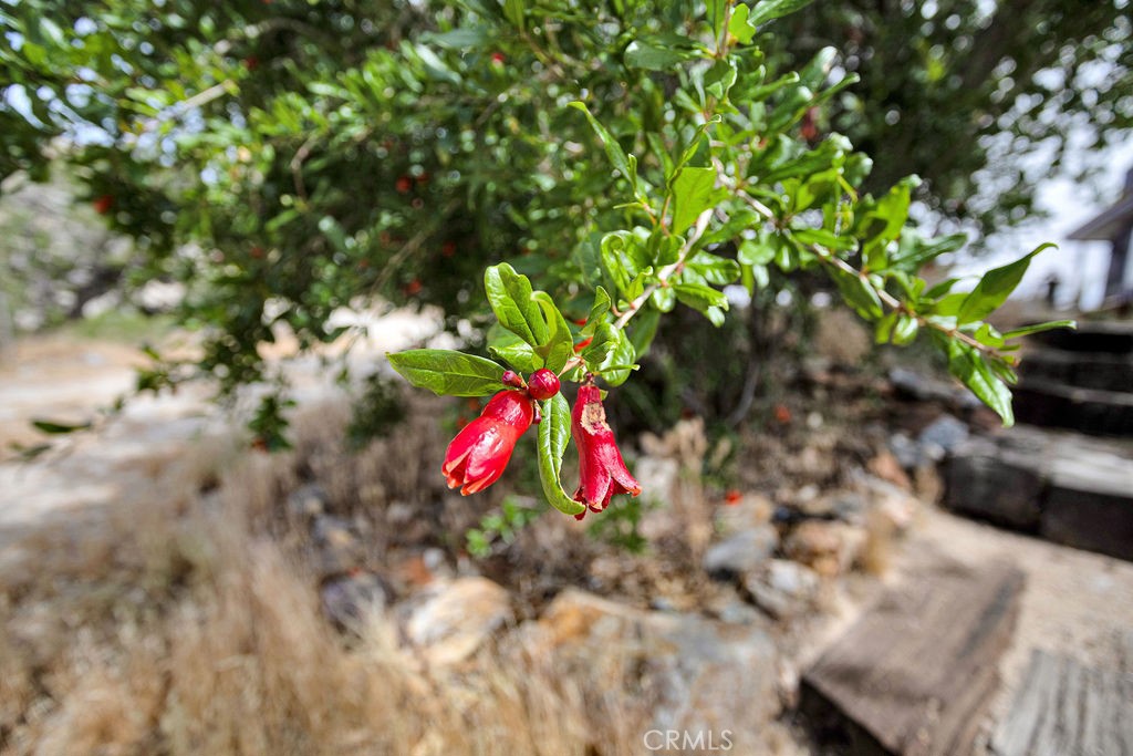 https://media.crmls.org/medias/25dd9526-30f1-4a7a-8f64-f0c7821664cc.jpg?preset=X-Large