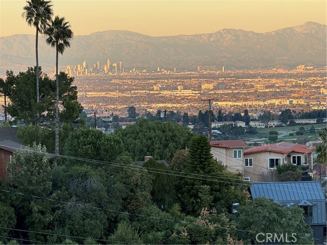 Downtown LA View