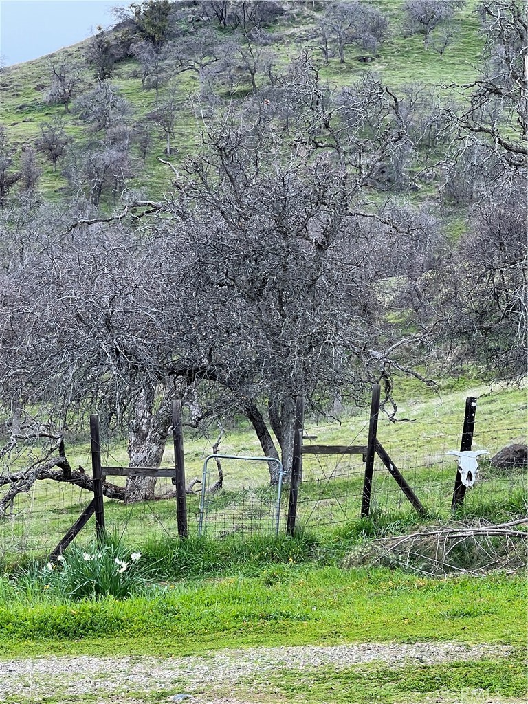 https://media.crmls.org/medias/25e449ee-5249-4134-9ef7-5ff9142c96dc.jpg?preset=X-Large