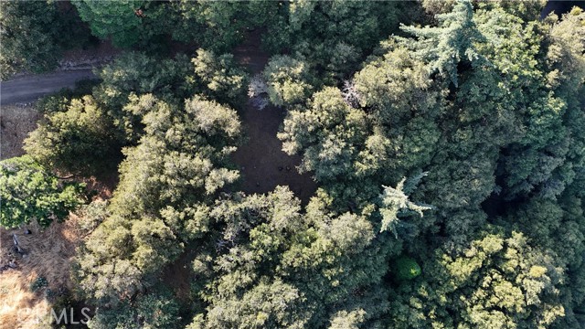 Detail Gallery Image 9 of 13 For 722 Mojave River Rd, Cedarpines Park,  CA 92322 - – Beds | – Baths