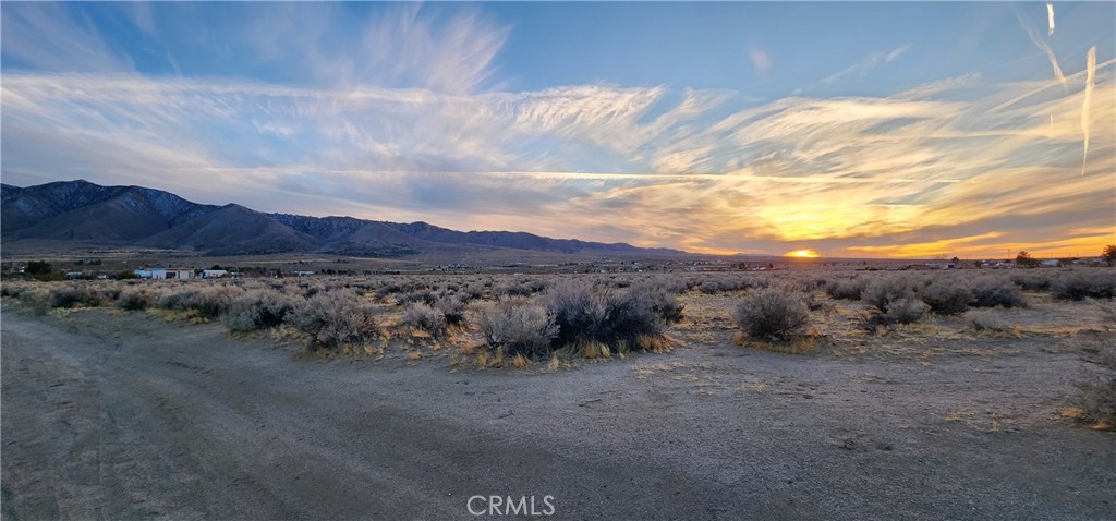 MLS #IV25049226 img 8