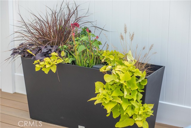 Detail Gallery Image 29 of 38 For 33751 Copper Lantern St, Dana Point,  CA 92629 - 1 Beds | 1 Baths