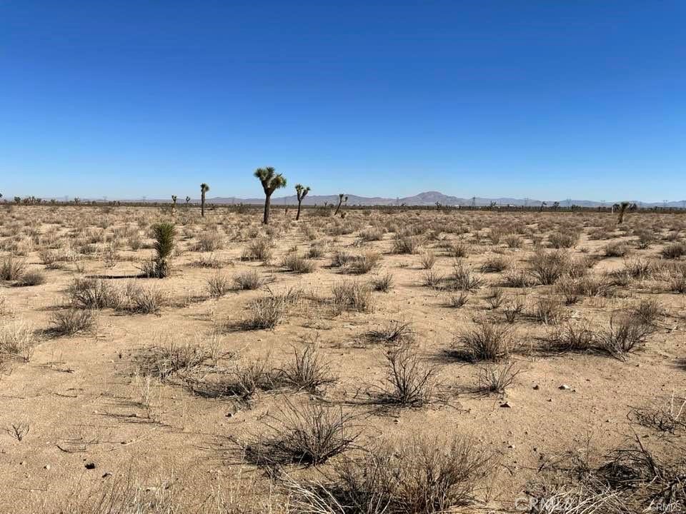 MLS #HD25000657 image #19