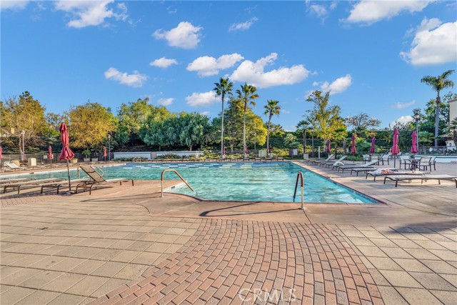 The Club at Rancho Niguel Pools