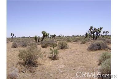  Commercial for Sale in Palmdale, California
