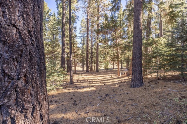 43320 Sand Canyon, Big Bear Lake, CA 92315