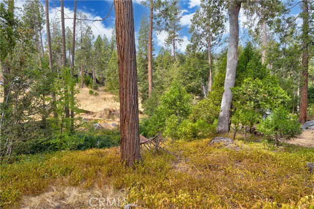 Detail Gallery Image 29 of 31 For 44800 Mountain Meadow Road, Oakhurst,  CA 93644 - 2 Beds | 1 Baths