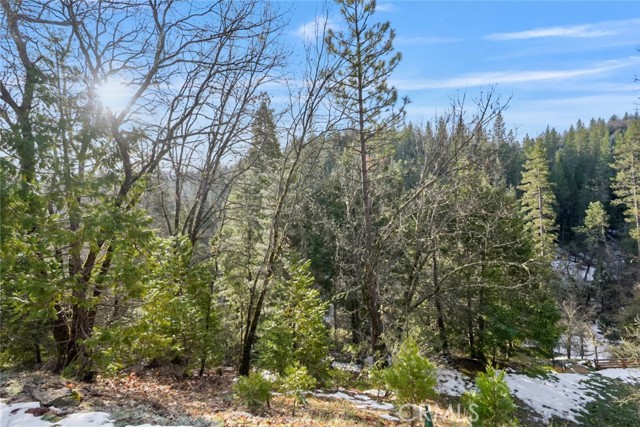 Detail Gallery Image 3 of 19 For 1191 Barney Way, West Point,  CA 95255 - – Beds | – Baths