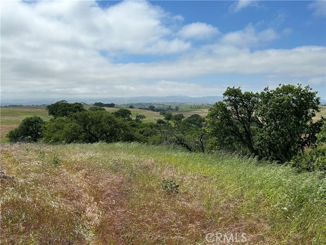 Detail Gallery Image 24 of 38 For 1975 Hidden Acre Ln, Paso Robles,  CA 93446 - 3 Beds | 2 Baths
