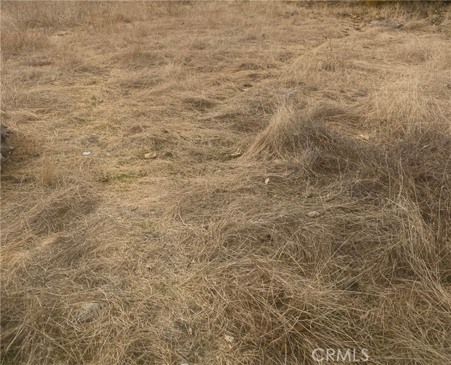 Front Image Thumbnail for CRPW25276276