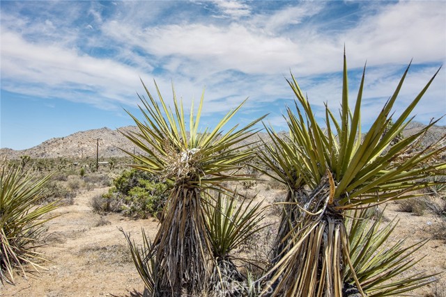 8261 Paradise View, Yucca Valley, CA, 92284 8261 Paradise View, Yucca Valley, CA, 92284