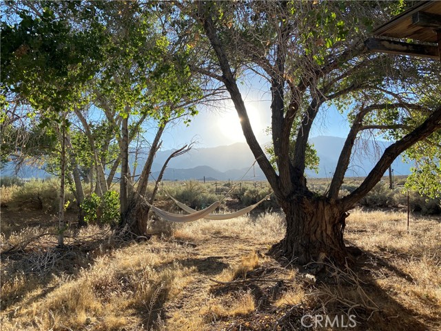 Detail Gallery Image 39 of 61 For 330 Sage Flats Dr, Olancha,  CA 93549 - 3 Beds | 2 Baths
