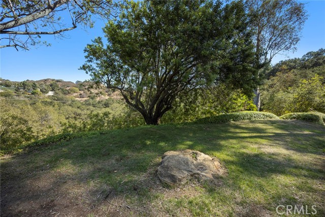 Detail Gallery Image 42 of 51 For 726 S Camino Grande, Anaheim Hills,  CA 92807 - 3 Beds | 2 Baths