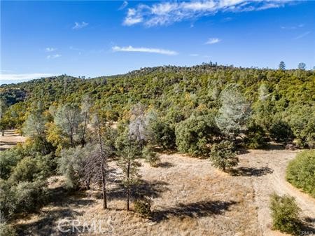 Detail Gallery Image 46 of 54 For 4816 Stumpfield Mountain Rd, Mariposa,  CA 95338 - 2 Beds | 2 Baths