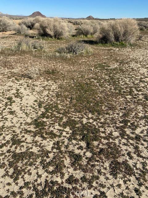 0 Joshua Blvd, California City, California 93505, ,Land,For Sale,0 Joshua Blvd,CRHD23031873