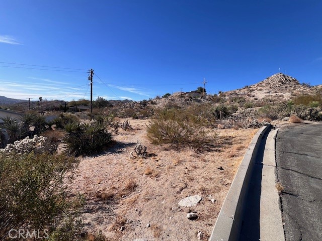 MLS #JT25006607 image #7