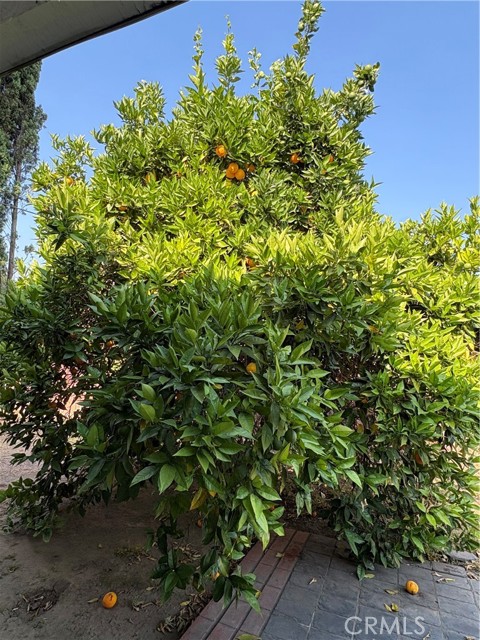 5429 Tyler Ave, Temple City CA: https://media.crmls.org/medias/261db90d-614a-4830-b60b-4e9235ee088d.jpg
