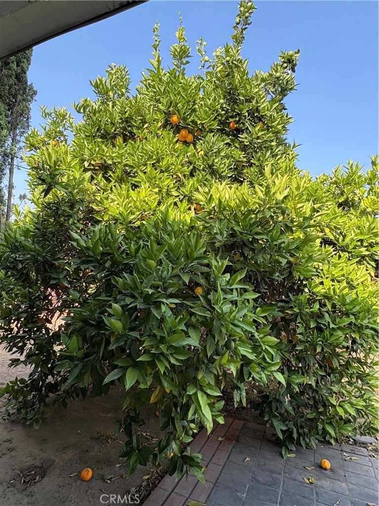 MLS #OC25163199 img 9