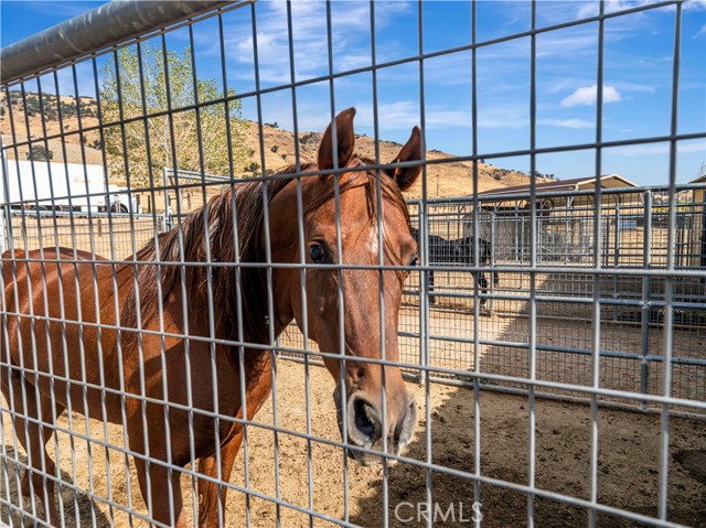 Detail Gallery Image 49 of 66 For 23237 Johnson Ct, Tehachapi,  CA 93561 - 4 Beds | 5 Baths