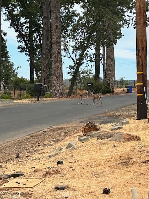 6288 W Wagstaff Road, Paradise CA: https://media.crmls.org/medias/26220cc2-b069-4c27-9d8e-52b0def14b39.jpg
